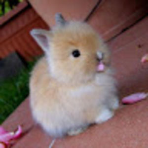 Meet your Posher, Mikayla